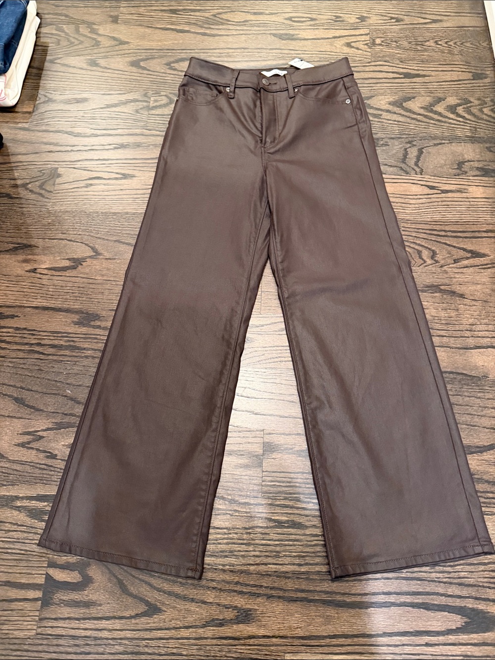 NWT LOFT Coated Pants